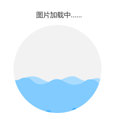 车辆拍卖处置